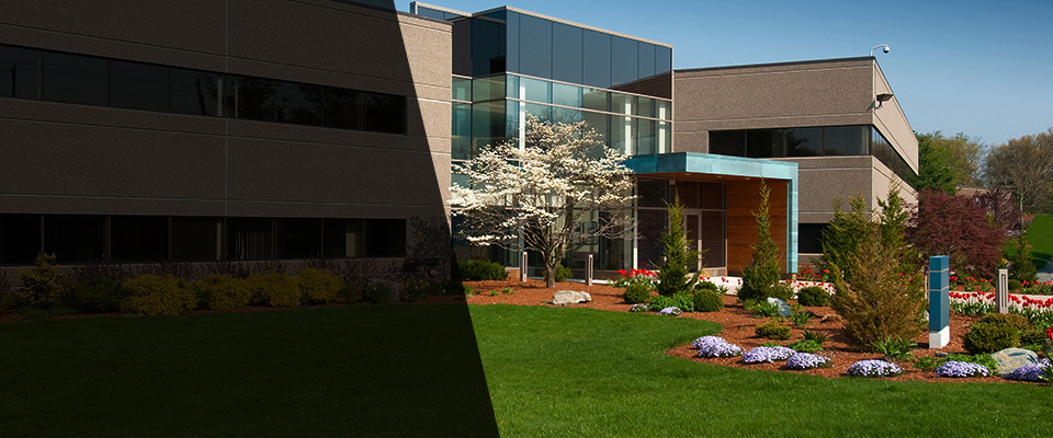 Disputanta Landscapers
