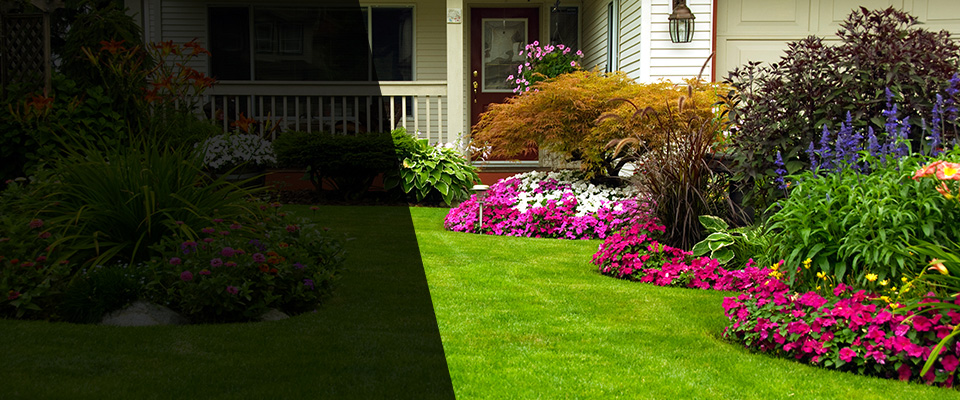 Disputanta Landscapers