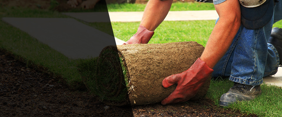 Disputanta Landscapers